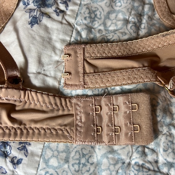 Daisy Fuentes 38C Bra - Picture 3 of 4